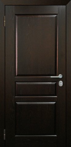 Дверь входная в квартиру Cerber 5 фото