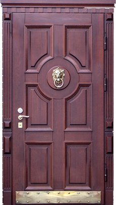 Двери в дом CKOTJ-5 фото